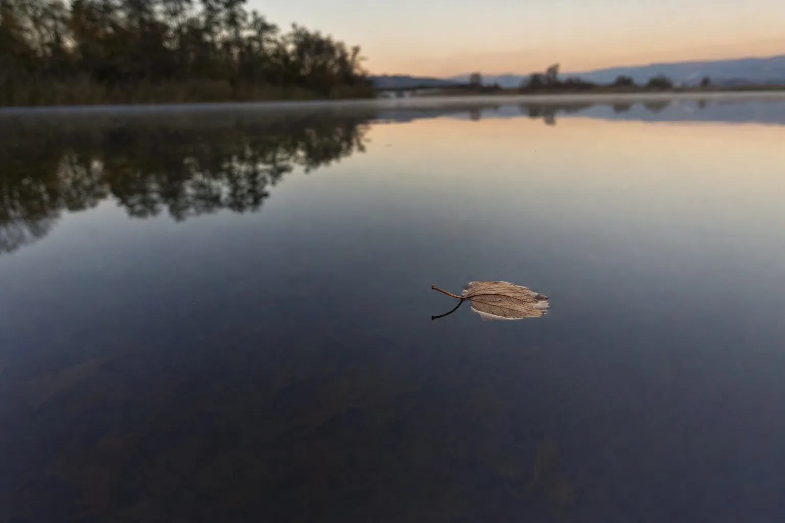 Água parada e calma ao amanhecer com uma folha flutuando, evocando paz