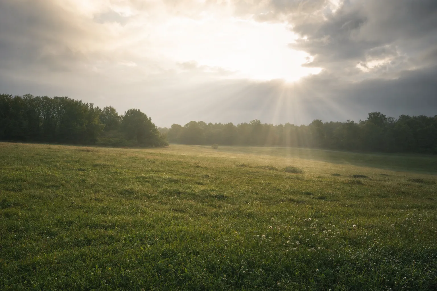 Luz do sol descendo sobre um campo verde, evocando a graça recebida